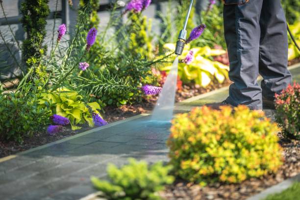Brookneal, VA Pressure Washing Services Company